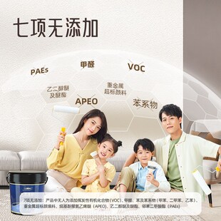 三棵树艺术漆蛋壳光电视背景墙面漆装修室内墙面肌理漆施工材料