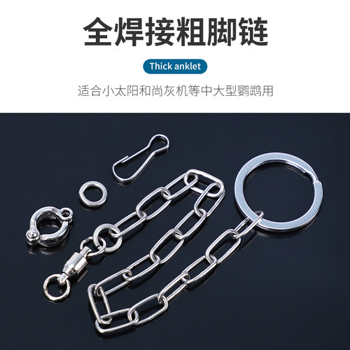 不锈钢鹦鹉脚链虎皮牡丹玄凤八哥鹩哥鸟站架开口脚环用品用具鸟链