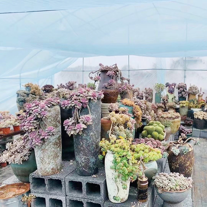 景德镇陶瓷多肉花盆手工切口花瓶复古粗陶透气法师罐悬崖紫乐老桩