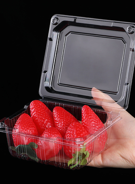250克半斤装一次性水果包装盒草莓菠萝蜜番茄葡萄塑料打包盒 透气