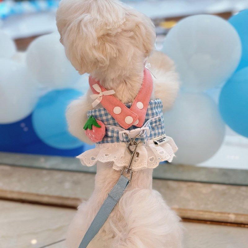 可爱宠物博美泰迪比熊狗狗牵引绳背心小型犬约克夏胸背带遛狗绳子,宠物/宠物食品及用品,狗牵引绳,淘宝优惠券,粉丝福利购,淘宝优惠卷