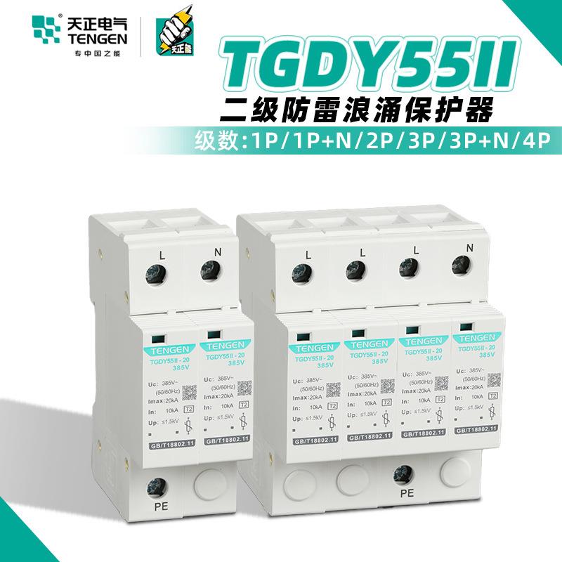 天正电气TGDY55II防雷避雷器2P4P204060KA二级电涌浪涌保护器开关