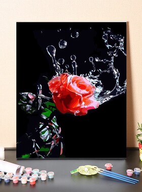 数字油画diy填充手工填色消磨时间水滴红色玫瑰花涂色丙烯油彩画