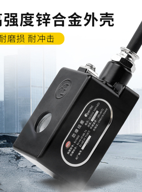 常闭I/IIT4不锈钢防爆电磁阀化工煤矿D天然气阀220v24v4分6分1寸2