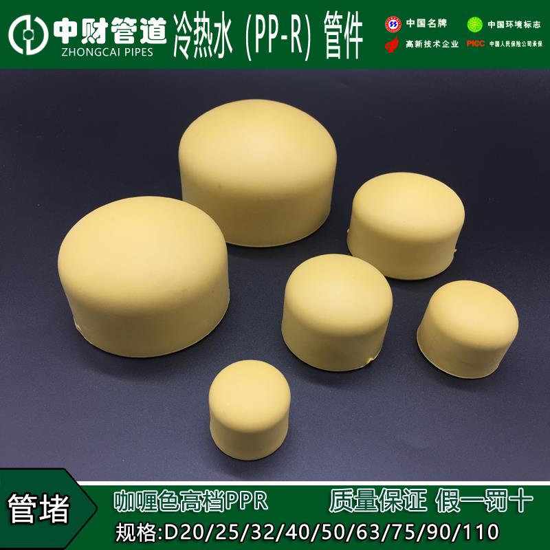 中财PPR管帽 管堵20 25 32 4分 6分 1寸 堵头 PPR 水管 管件 接头