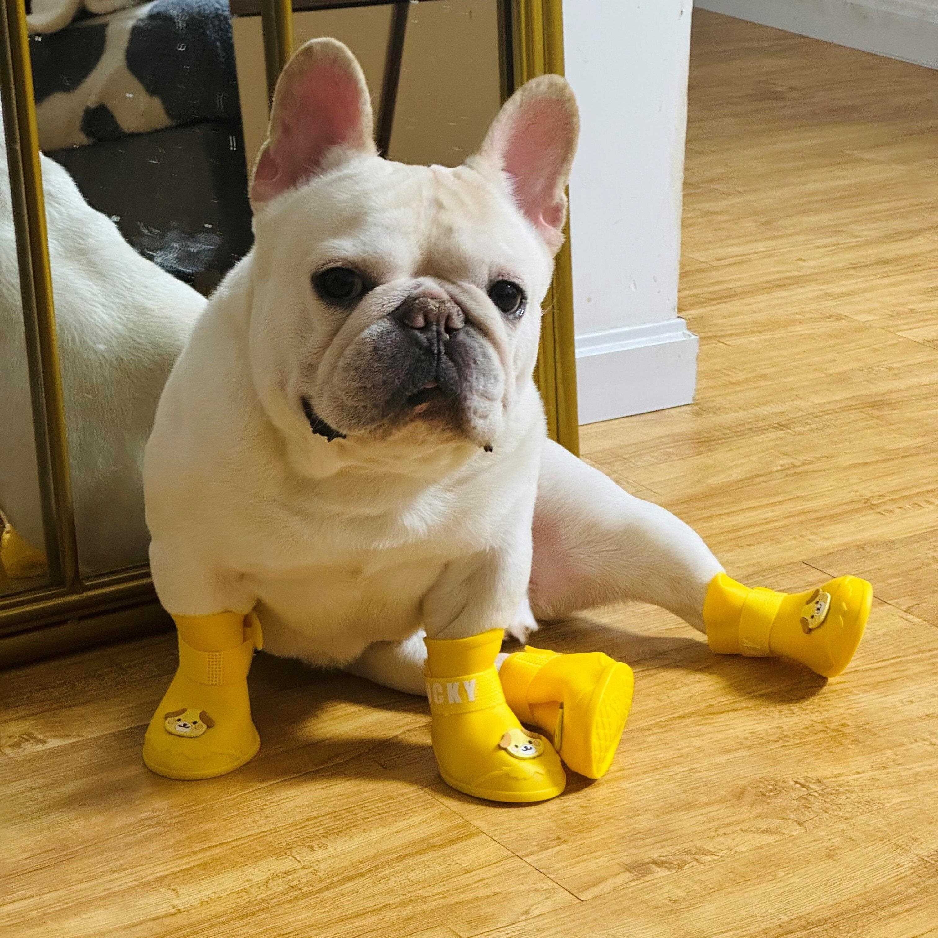 狗狗雨鞋宠物鞋子软底甩不掉雨靴外出放脏鞋套防掉防滑法斗中大型