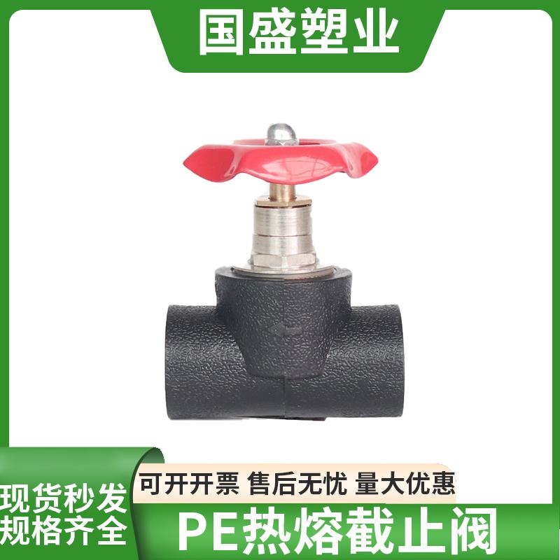 pe水管截止阀球阀4分6分1寸内升降20 25 32 40 50 63 管件配件