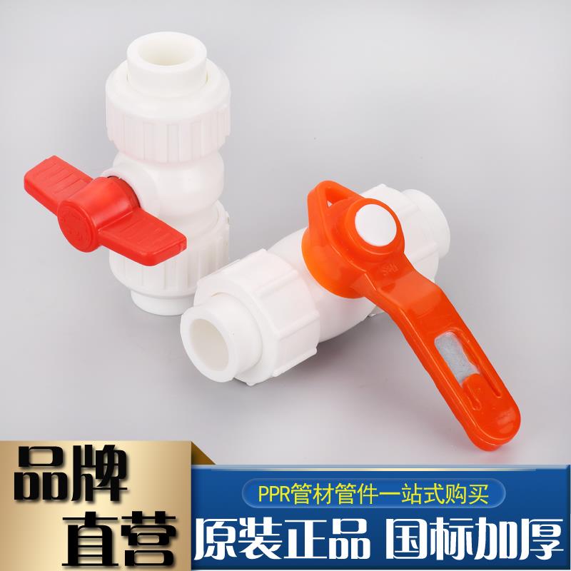 PPR全塑双活接球阀4分6分20双头活接球阀阀门ppr水管接头配件热熔