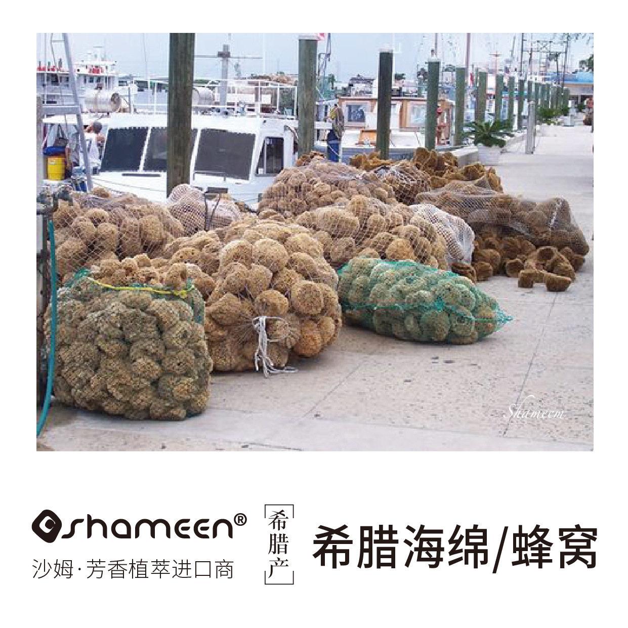 希腊海绵 蜂窝海绵洗澡沐浴球搓澡巾婴儿洗澡海绵洗脸洁面