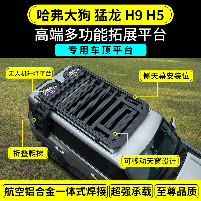 哈弗大狗猛龙H5H9车顶平台车顶架行李架框侧爬梯书包机甲网侧帐