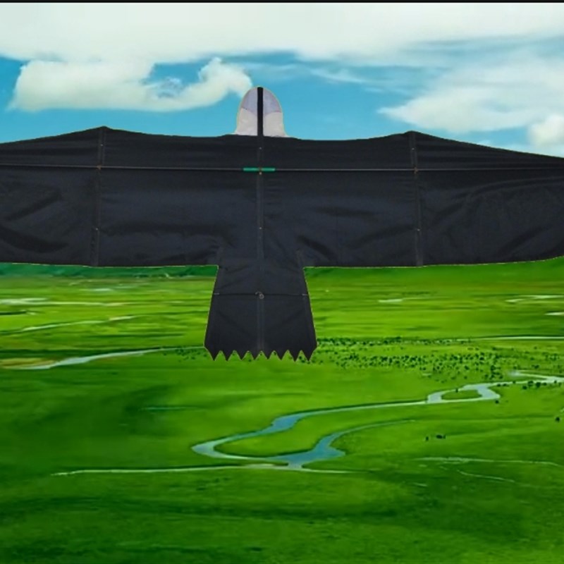 内蒙板鹰六提线纯手工p31伞布精工制作,改造升级不翻板1-5级放飞