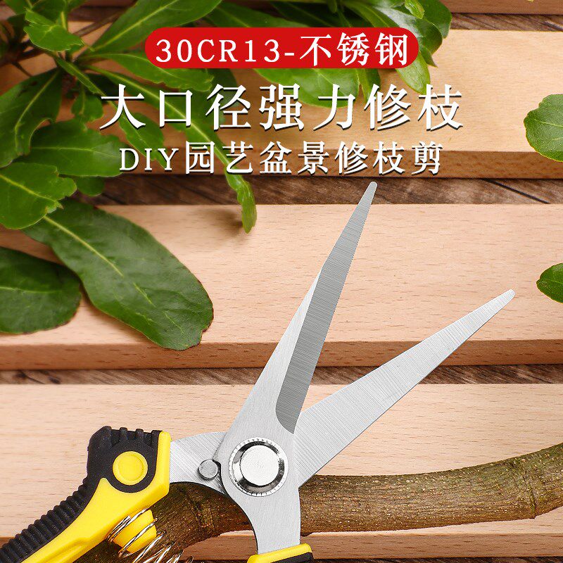不锈钢园艺剪刀修枝剪园林修剪树枝果树专用工具采摘葡萄蔬果剪子
