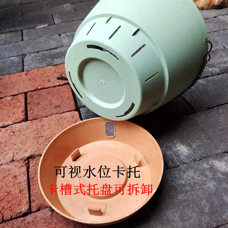 安东尼吊兰花盆室内垂吊悬挂式吊篮花盆家用阳台垂吊盆绿萝常春藤