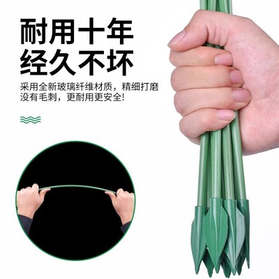 秋海棠支撑杆鳟鱼专用植物支撑杆固定器花架造型支架造型花支架