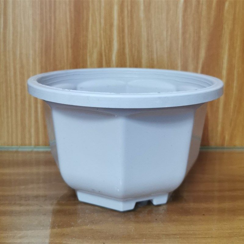 塑料花盆迷你八角多肉情人泪佛珠吊篮盆白色咖啡色悬挂壁挂,鲜花速递/花卉仿真/绿植园艺,花盆,淘宝优惠券,粉丝福利购,淘宝优惠卷