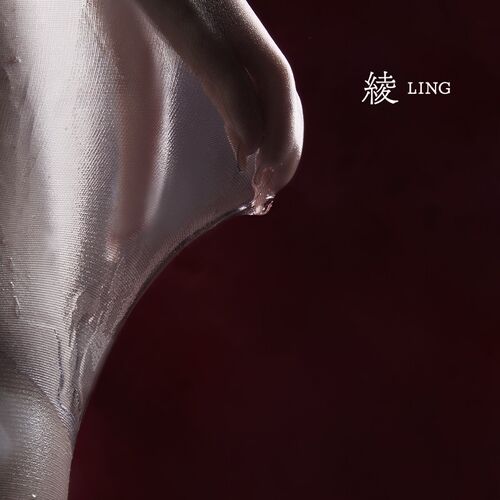 绫-新品云缎纤648针轻盈通透性感网纱高腰边女丝袜连裤袜