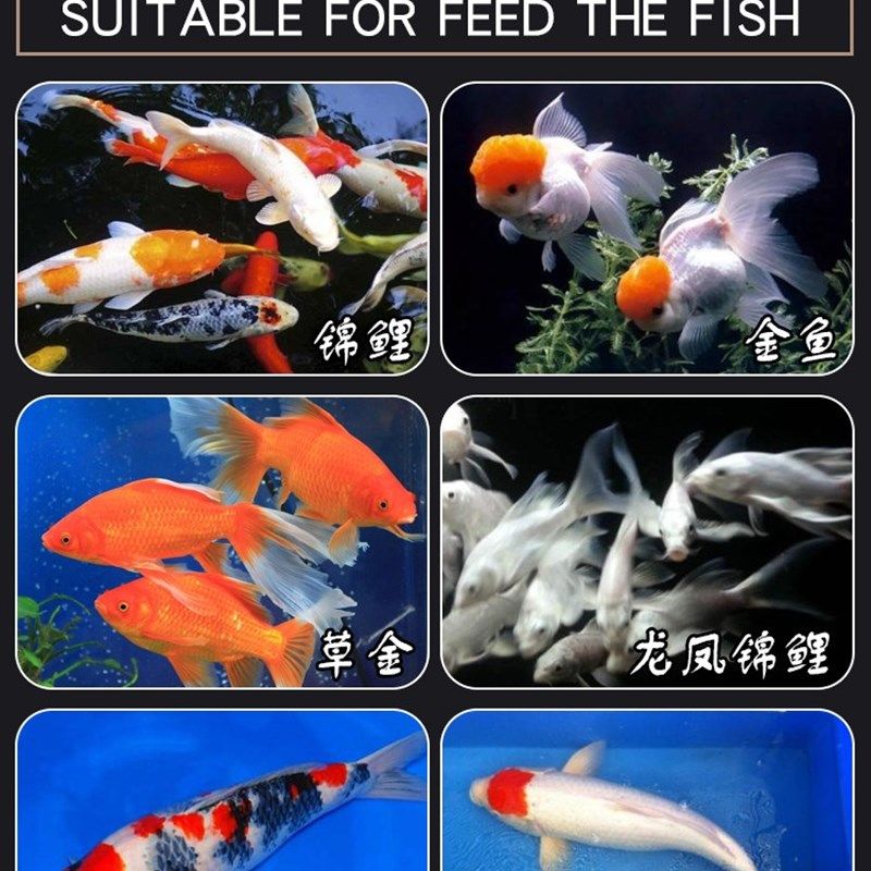一品红优品锦鲤扬色专用粮锦鲤鱼食观赏鱼不浑水鱼饲料金鱼鱼粮,宠物/宠物食品及用品,观赏鱼饲料,淘宝优惠券,粉丝福利购,淘宝优惠卷