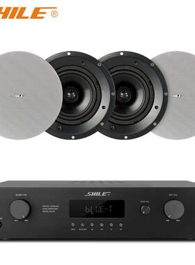 AV24+BX306吸顶音响6.5英寸定阻同轴喇叭会议音响公共广播