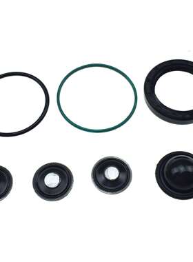 适用欧宝高压泵修理包24465785,815049,78516