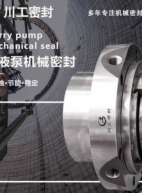 负压化成泵机械密封SLZC150-630TJSLZC200-760ASLZC200-760BTJ