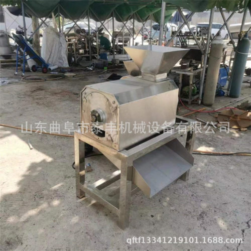 黄桃去核打浆机草莓火龙果不锈钢打泥机工业商用荔枝去核打浆机