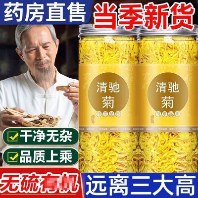 正品青驰菊花茶罐装完整大朵清驰菊泡水喝正宗清驰菊花茶官方正品