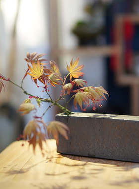 粗陶摆件干花花器摆件禅意水培小花插陶瓷迷你小花瓶茶席中式器皿