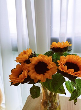 白色薄纱透光透明雪纺纱帘客厅飘窗卧室垂感定制沙帘玻璃橱窗纱帘