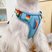 狗狗牵引绳猫咪防挣脱猫绳泰迪遛猫宠物背心式 幼犬比熊胸背带外出