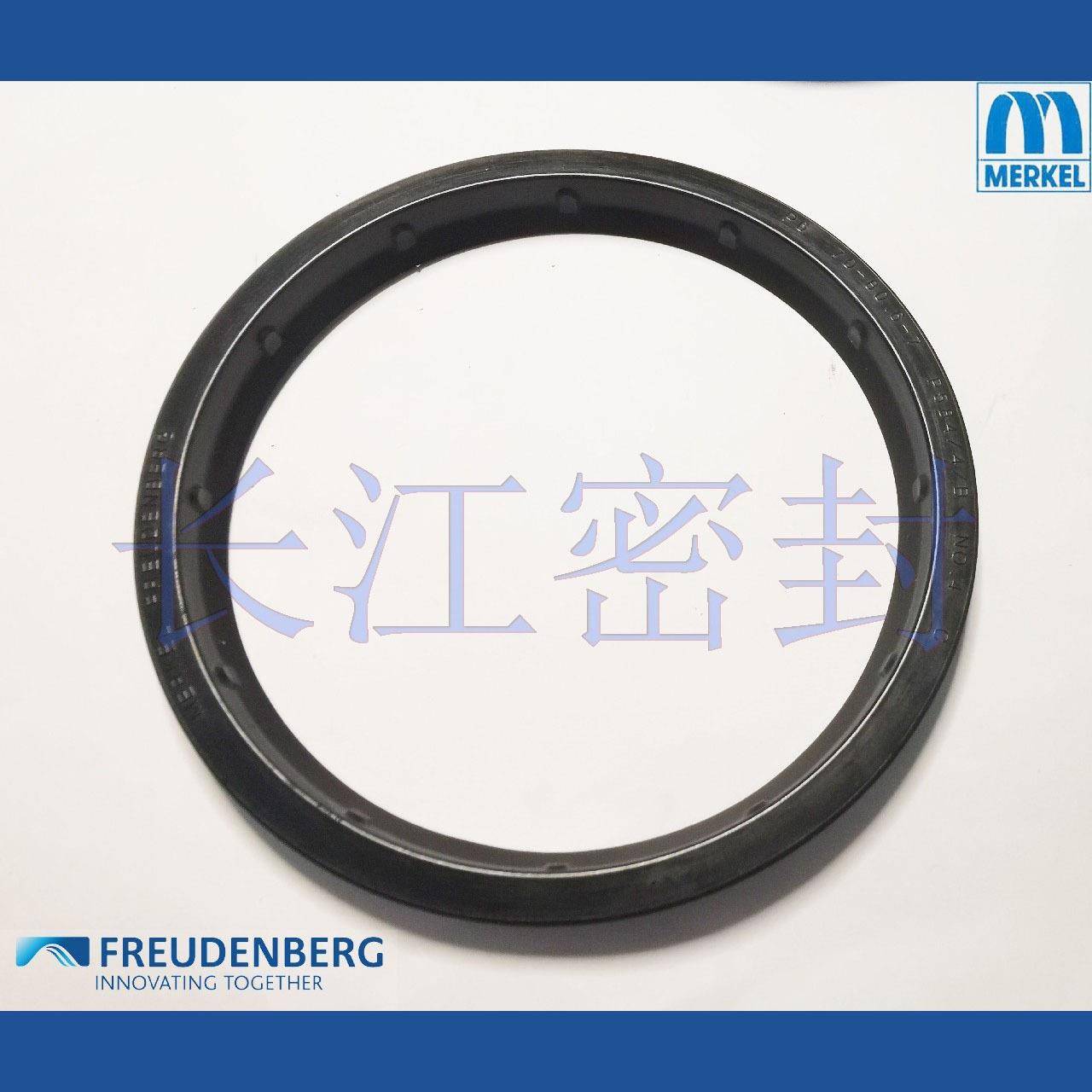 220-235-220-240-10.2/18德国麦克MERKELFREUDENBERGP6防尘圈