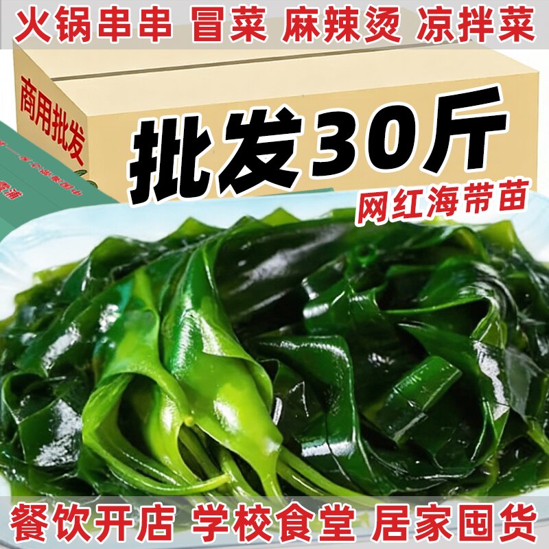 30斤海带苗海带苗嫩苗新鲜霞浦海带商用批发凉拌菜火锅海鲜食材16