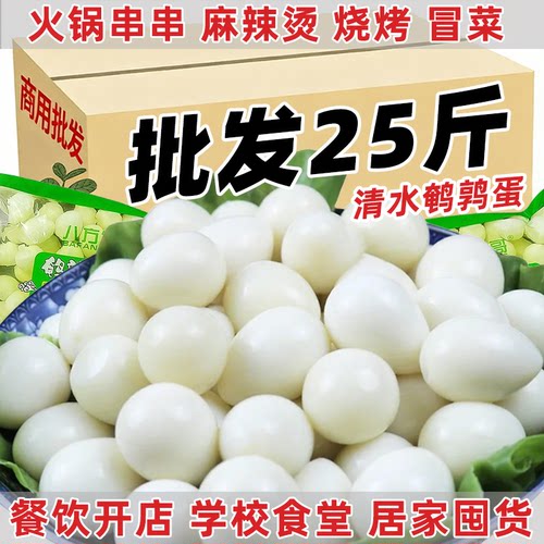 25斤清水去壳鹌鹑蛋商用脱壳鹌鹑蛋烧烤火锅串串麻辣烫食材批发16