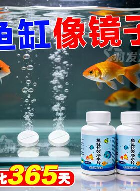 鱼缸净水片澄清清澈净化水质除臭去腥鱼缸水族箱鱼池清水养鱼用具