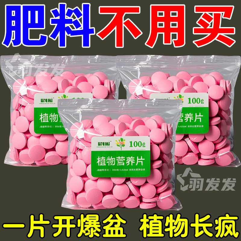 手淘优惠券相似同款同款货源