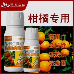 柑橘病菌清柑橘病溃疡流胶黑斑炭疽疮痂病微生物菌剂微生物肥料