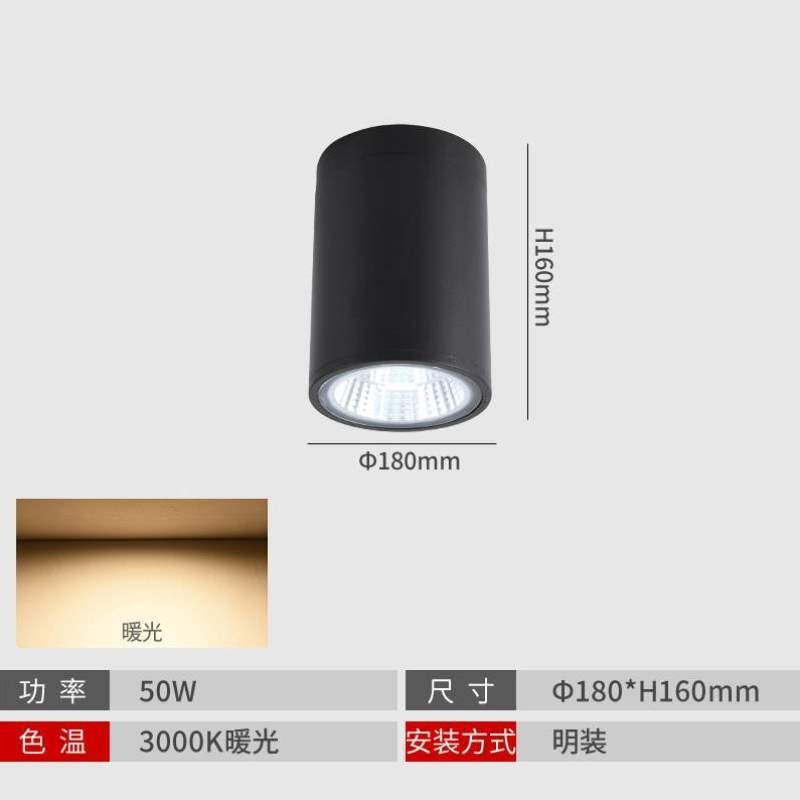 吸顶式防水门明装走廊筒灯射灯雨棚潮湿IP65阳台浴室防头户外室外