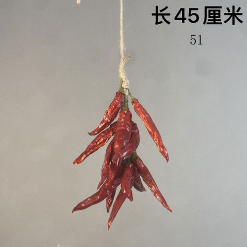 鹦鹉啃咬辣椒串解闷玄凤牡丹鸟站架造景玩具天然啃咬宠物用品