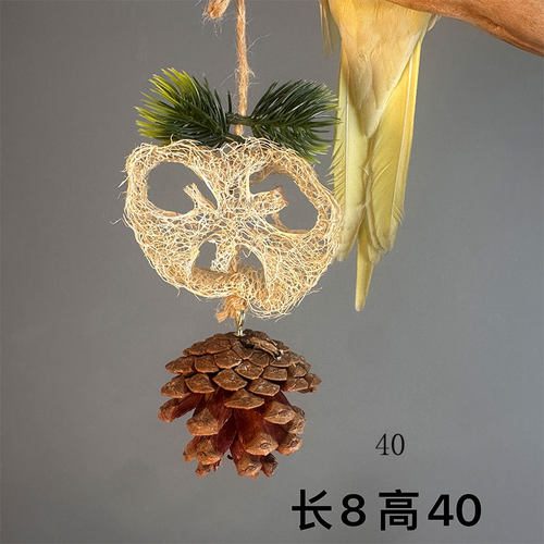 鹦鹉带叶丝瓜络松果天然啃咬解闷磨喙玄凤牡丹鸟站架爬行宠物用品