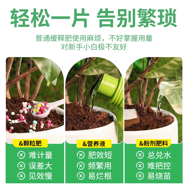 君子兰专用肥料家用花卉盆栽肥通用君子兰促箭剂专治黄叶不开花肥