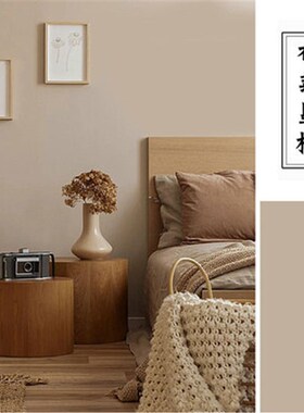 杏子灰内墙哑光竹炭净味环保追星乳胶漆伦敦雾网红色背景墙面漆