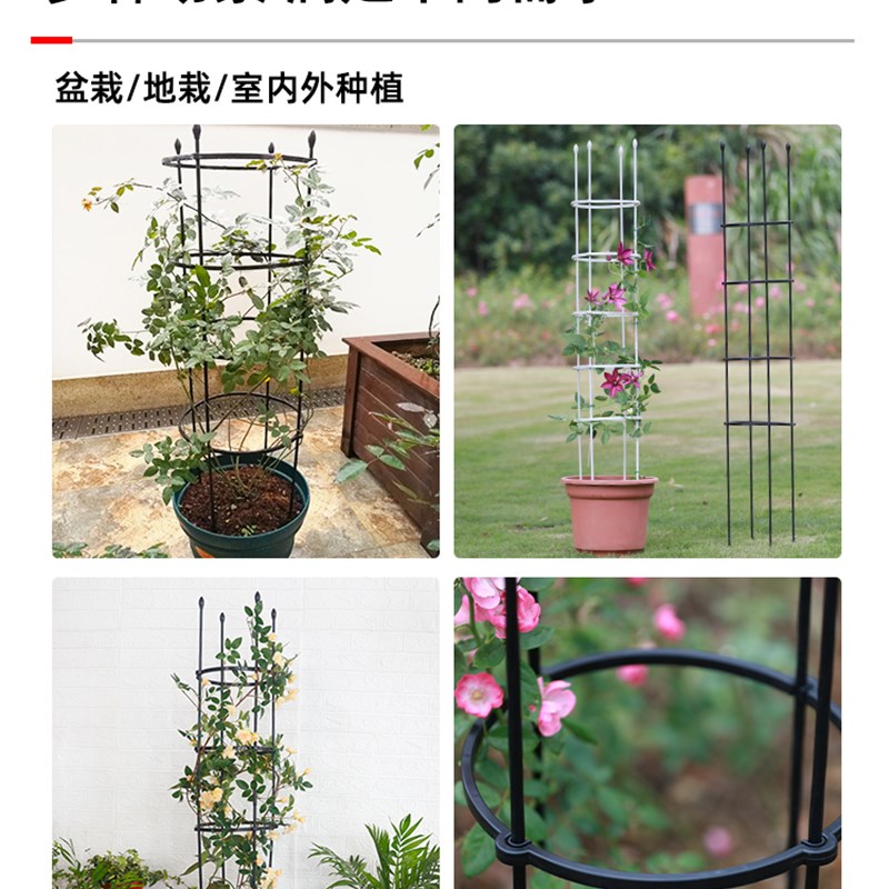 花卉花架爬藤架月季铁线莲支撑固定支架支柱盆栽植物攀爬架花支架