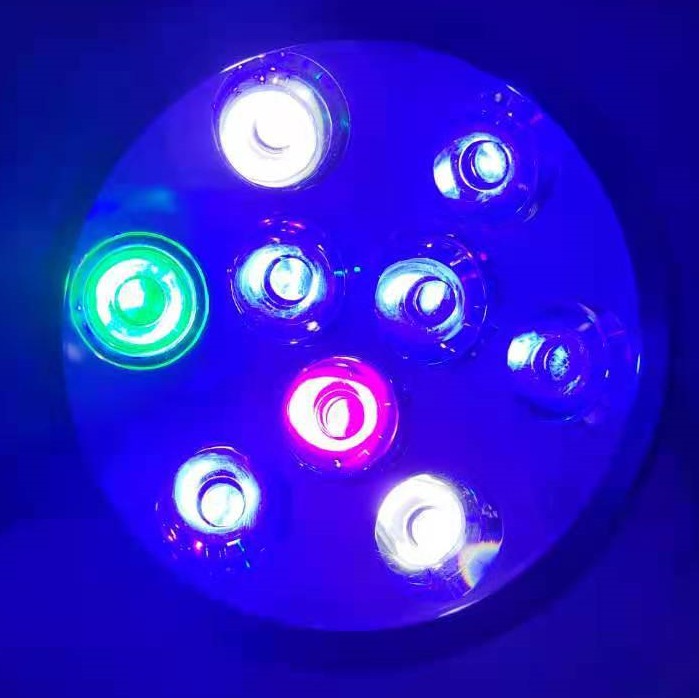 海水缸led全光谱小丑鱼软体珊瑚海葵补光灯藻灯浅海新手鱼缸灯具