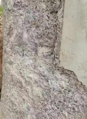 混凝土破损漏筋修复快修一号快速凝固耐久性加固修补制梁场专用料