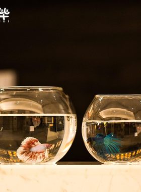 新款办公室桌面迷你圆形玻璃小鱼缸客厅小型裸缸景观造景斗鱼套装
