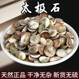 中药材甲香 太极石 海螺盖 龙虱子包邮正品野生原石一级无硫