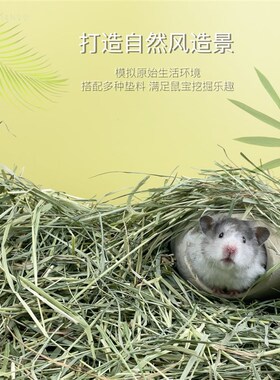 QIQIANWU七千五 仓鼠金丝熊天然垫料夏季提摩西草段去味打洞造景