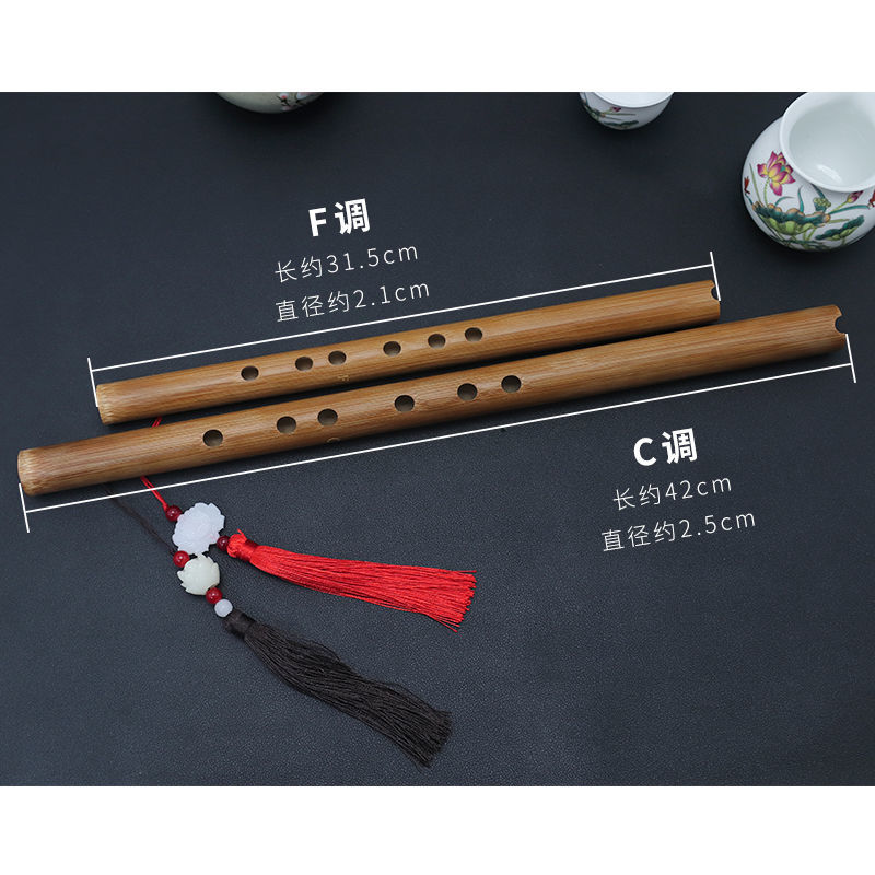 洞箫初学零基础入门高级短萧笛迷你便携苦竹古风民族6孔G调潇乐器