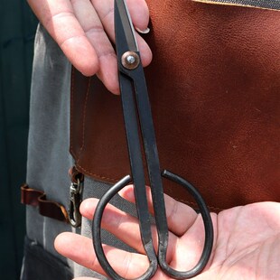 盆景修剪造型专用工具大号球节剪球节钳叶芽剪盆景修剪剪刀修剪钳