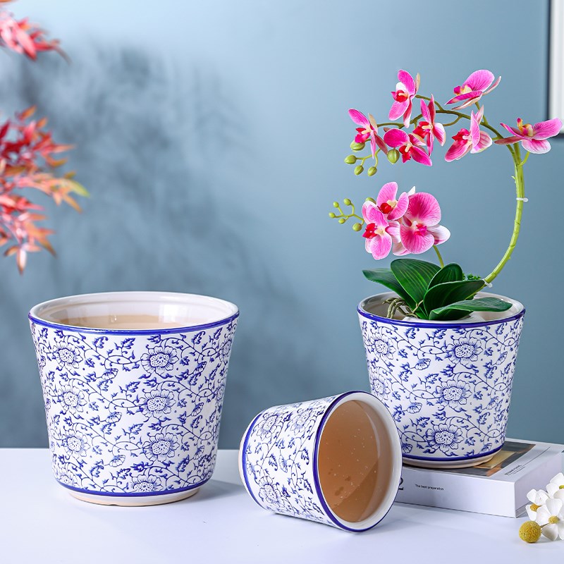 青花瓷中国风家用高档陶瓷花盆高级感兰花专用冬青虎皮兰蝴蝶兰盆图片