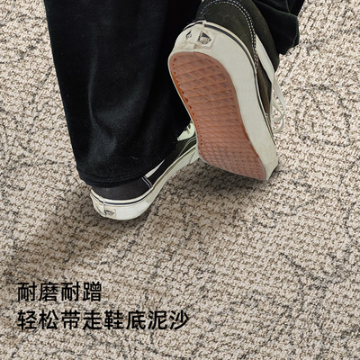 入户门地垫高级感家用防滑耐磨大门口进门垫客厅大地毯免洗耐脏垫